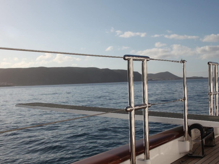 Apex - Close connection with the sea - 1