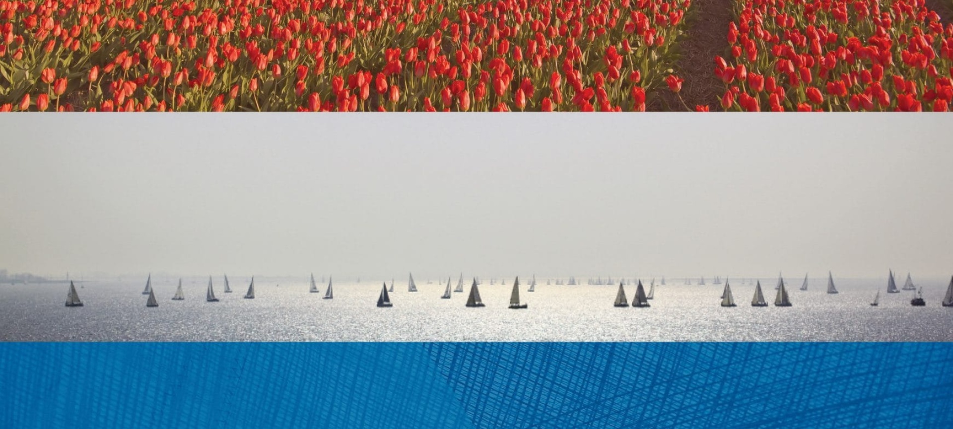 THE PERFECT COMBINATION