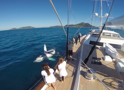 Image ON BOARD WITH BILL JOY