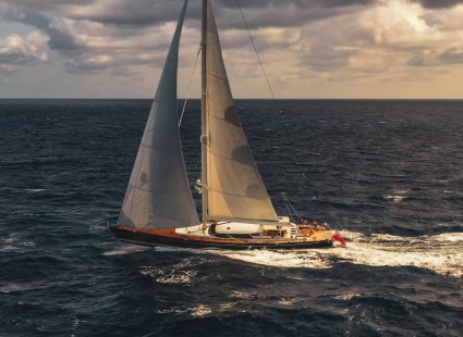 Image THE NEW CUSTODIAN