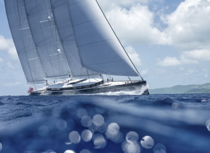 Image THE SEA EAGLE SOARS