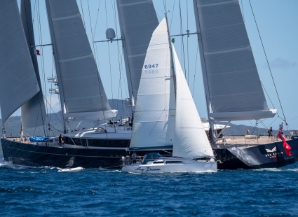 Image New Zealand Millenium Cup 2025